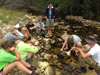 Survival Training